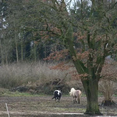 Holunder Hüsken Сasa de vacaciones *
