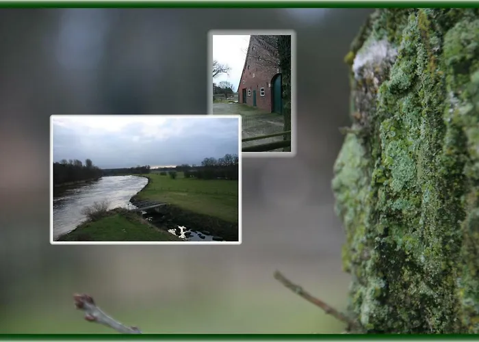 Holunder Hüsken Tatil Evi