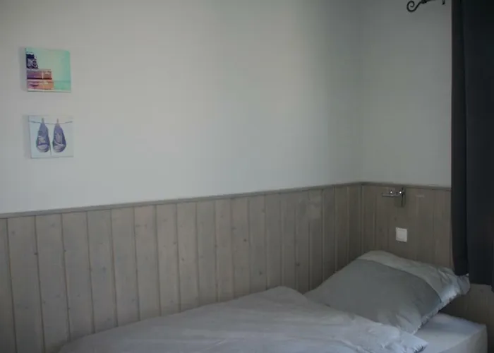 Holunder Hüsken Oberlangen