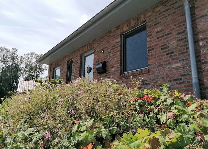 Holunder Hüsken * Oberlangen